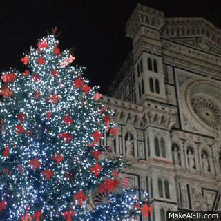 Christmas Tree in front of the duomo