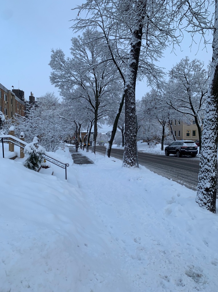 snowy neighborhood street
